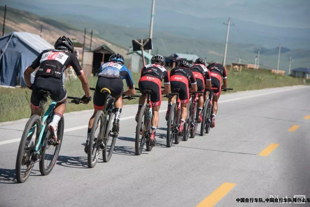 中国自行车队,中国自行车队用什么车
